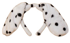 Dalmation spotty dog for sale  COVENTRY