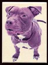 Magnet chien genre d'occasion  Dijon