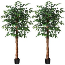 5ft artificial ficus for sale  Brentwood