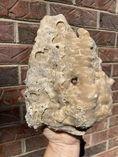 Calcita, Travertino Flowstone, Marion County Tennessee  comprar usado Calcita, Travertino Flowstone, Marion County Tennessee  comprar usado  Enviando para Brazil