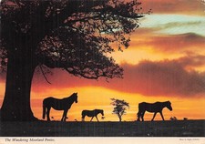 Royaume uni dartmoor d'occasion  France