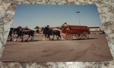 Vintage color photo for sale  Cape Coral