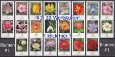 Blumen bund dauerserie gebraucht kaufen  Taufkirchen (Vils)