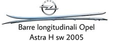 Barre longitudinali tetto usato  Italia