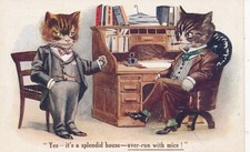 Cats postcard unsigned for sale  MANNINGTREE