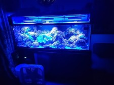180 gallon salt for sale  Waitsfield