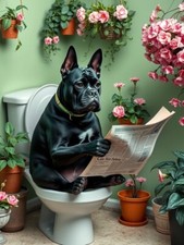 Cane corso toilet for sale  DUNSTABLE