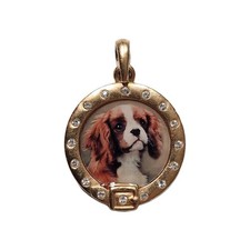 Danbury mint king for sale  CROWBOROUGH