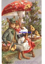 Conigli umanizzati fungo usato  San Teodoro