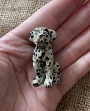 Dalmatian jasper dog for sale  WARRINGTON