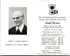 Sterbebild pfarrer strunz gebraucht kaufen  Singen (Hohentwiel)