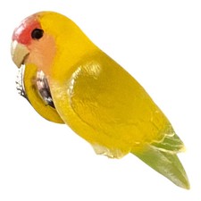 Rosy faced lovebird for sale  Sinton