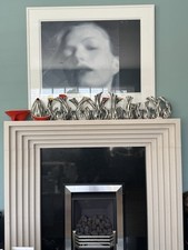 zebrette for sale zebrette for sale WILLENHALL