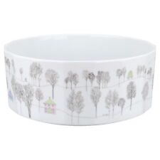 Schüssel groß rosenthal gebraucht kaufen  Kappeln