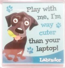 Top dog cat for sale  NOTTINGHAM