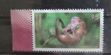 Tierbabys haselmaus deutschlan gebraucht kaufen  Kempten (Allgäu)