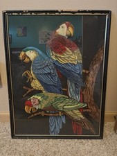 Parrot picture vintage for sale  Derby