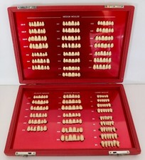 Guia de molde de dentes de porcelana vintage Candulor CR feito na Suíça com estojo comprar usado  Enviando para Brazil