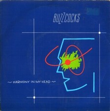 Buzzcocks harmony head. for sale  CHESTERFIELD