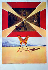 Salvador dali roussillon d'occasion  Soisy-sous-Montmorency