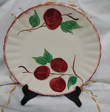 Vintage blue ridge for sale  Carthage