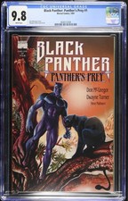 Black panther panther for sale  Fanwood