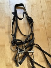 Alte kandare kandare gebraucht kaufen  Trabitz