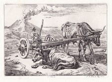 Napoli neapel naples gebraucht kaufen  Seubersdorf