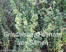 Echter griechischer regano gebraucht kaufen  Pliezhausen
