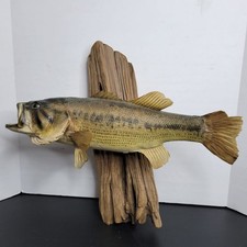 Taxidermy largemouth bass for sale  Jewett City