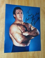 Beautiful bruno sammartino for sale  Ossining