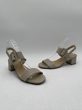 Nwob trotters women for sale  Monroe