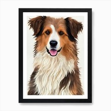 Pyrenean shepherd watercolour for sale  UK