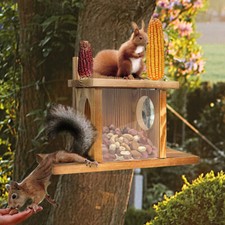 Wildlife garden squirrel for sale  LOUGHBOROUGH