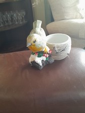 Plant pots indoors for sale  DEESIDE