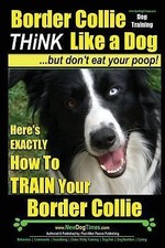 Border collie dog for sale  Tacoma