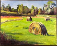 Hay rolls mary for sale  Colebrook