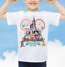 Disneyland paris 2025 for sale  UK