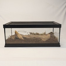 Terrarium reptiles props for sale  Brooklyn