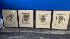 1900 botanical flower for sale  Cle Elum