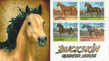 horse buckskin quarter for sale  Rockwall