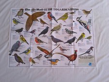 birds prey for sale birds prey for sale BECCLES