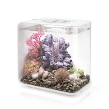 acrylic fish tank for sale  Brentwood