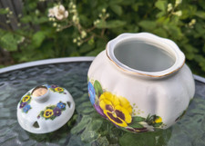 Leonardo collection pansy for sale  THETFORD
