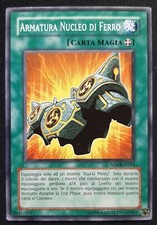 Armatura nucleo ferro usato  Venezia