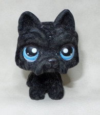 Littlest pet shop d'occasion  Mussidan