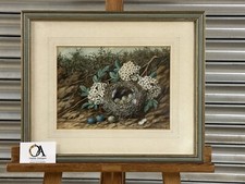 Original 19thc watercolour for sale  BEDFORD