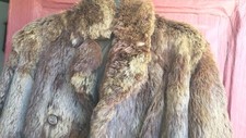 Veste femme renard d'occasion  Ajaccio-