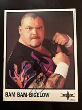 Bam bam bigelow for sale  Champlin