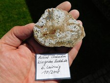Achat chalcedon kiesgrube gebraucht kaufen  Limbach-Oberfrohna